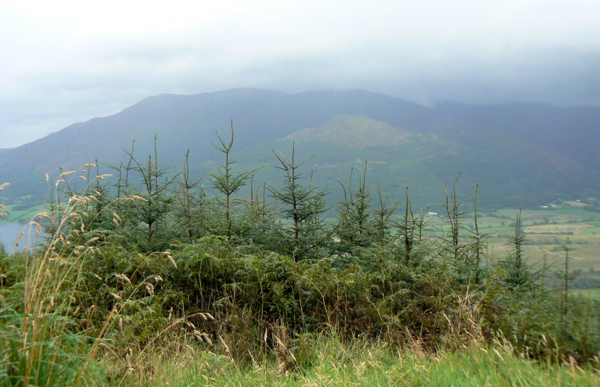 Skiddaw Skiddaw